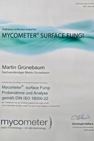 Zertifikat Mycometer Surface Fungi